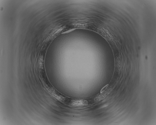 X0000087710083200705181855