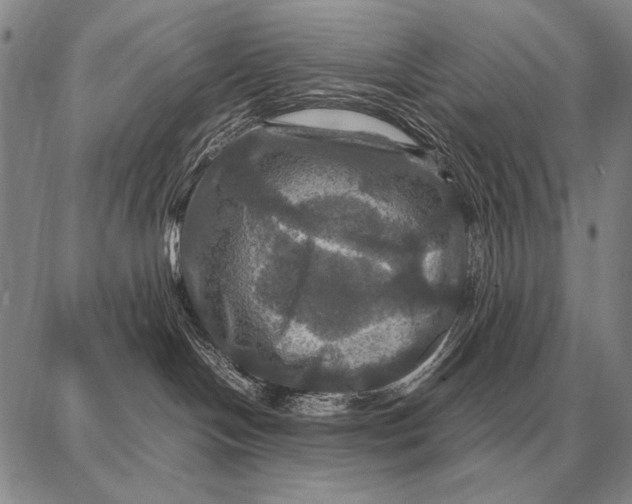 X0000087710094200705181855