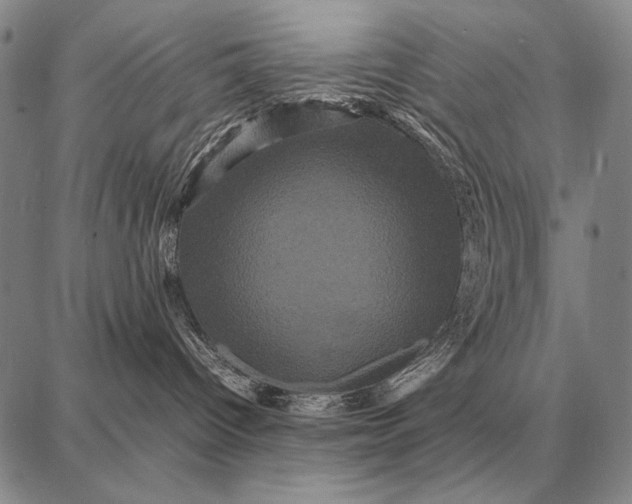 X0000087710096200705181855