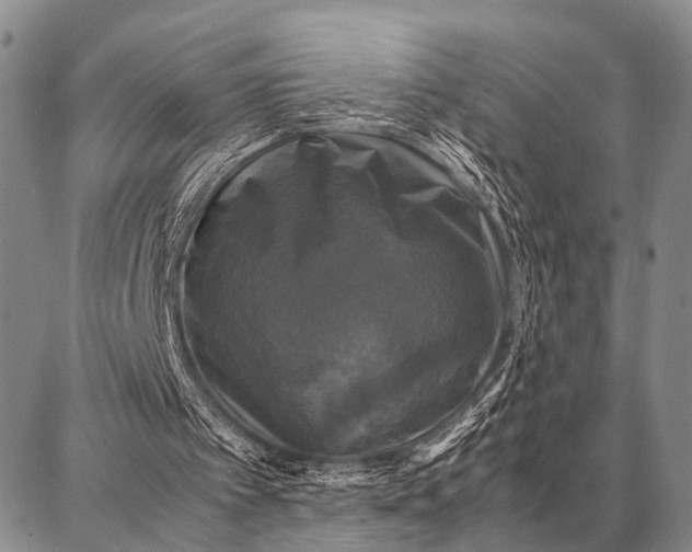 X0000087710097200705181855