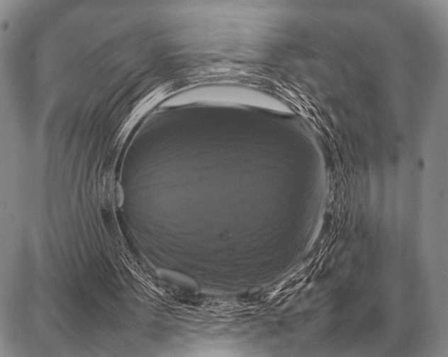 X0000087710099200705181855