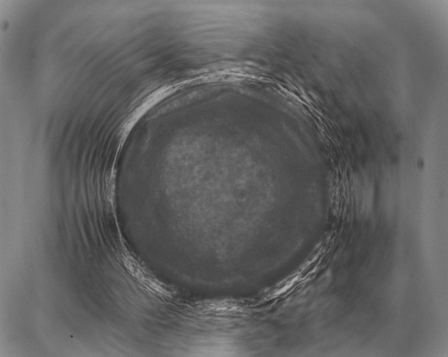 X0000087710100200705181855