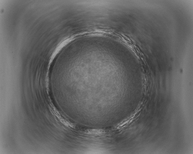 X0000087710102200705181854