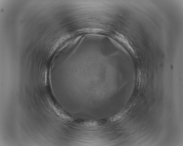X0000087710110200705181854