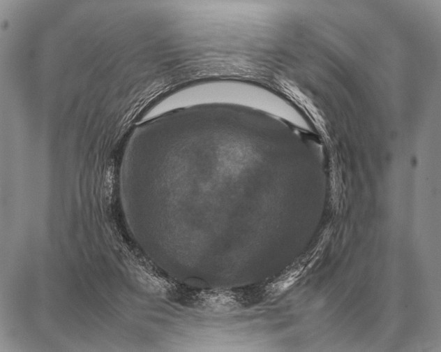 X0000087710113200705181854