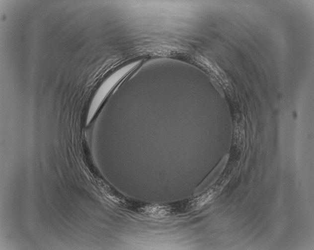 X0000087710117200705181854