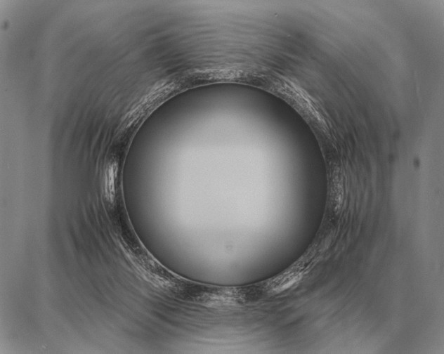 X0000087710118200705181854