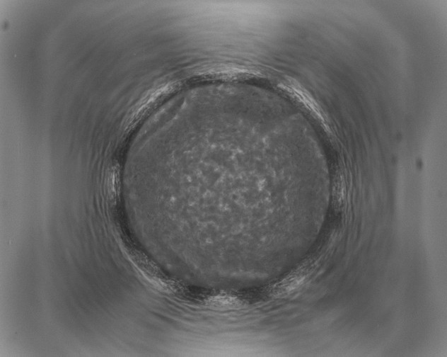 X0000087710119200705181854