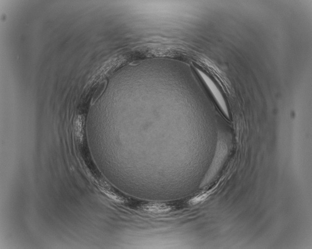 X0000087710121200705181854