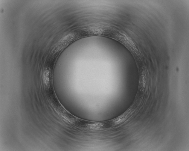 X0000087710122200705181854