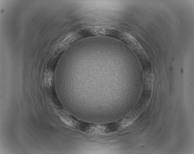 X0000087710125200705181854