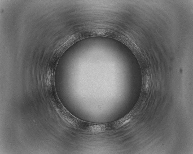 X0000087710126200705181854
