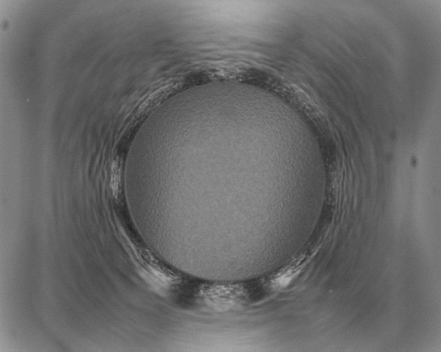 X0000087710129200705181854