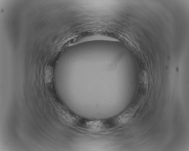 X0000087710133200705181854