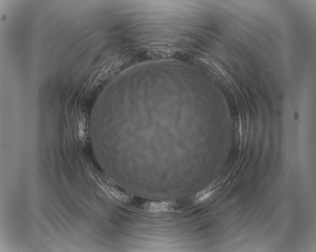 X0000087710134200705181854