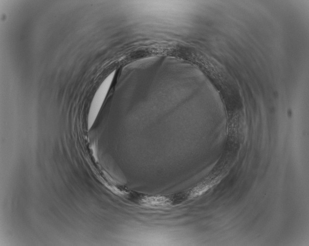 X0000087710137200705181854