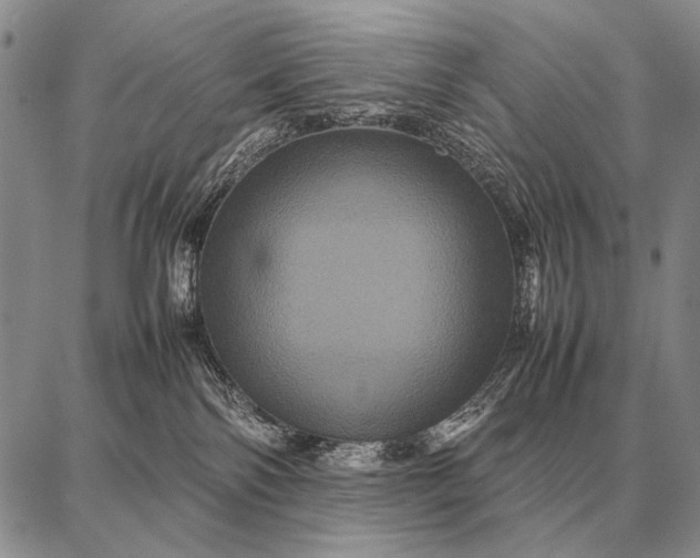 X0000087710138200705181854