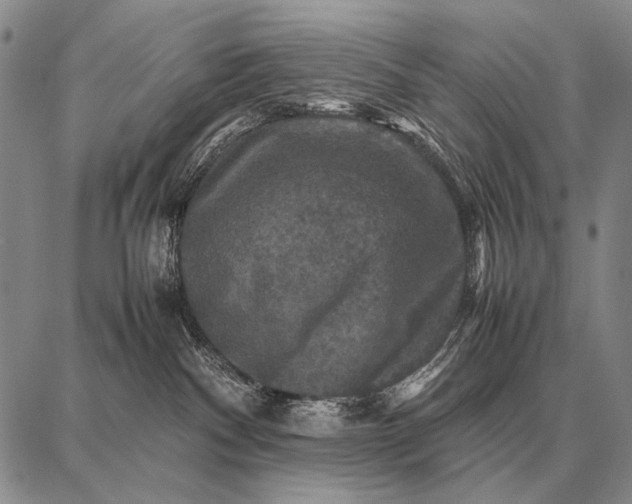 X0000087710140200705181854