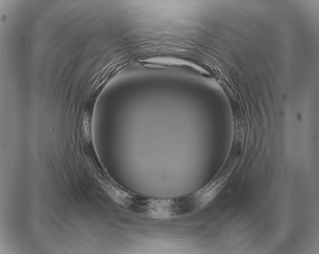 X0000087710143200705181854