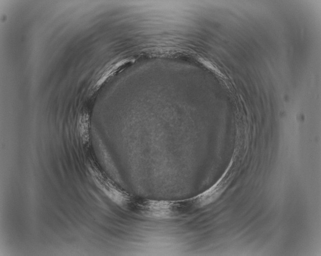 X0000087710144200705181854