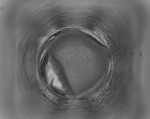 X0000087710145200705181853