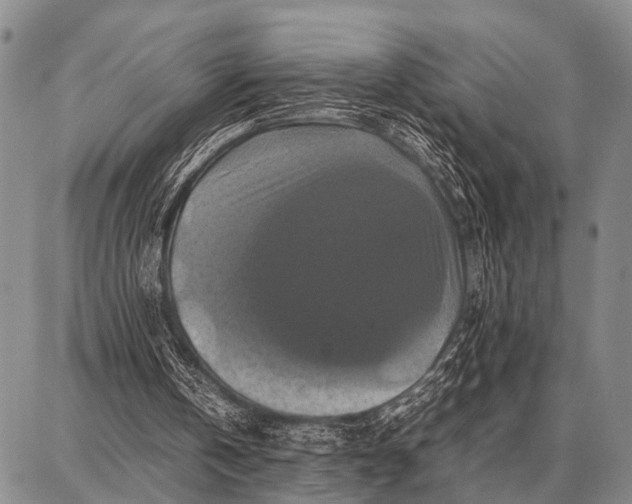 X0000087710146200705181853