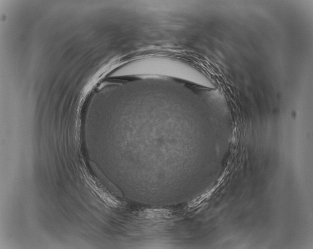 X0000087710150200705181853