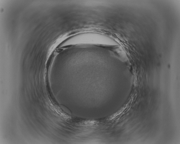 X0000087710152200705181853