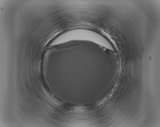 X0000087710154200705181853