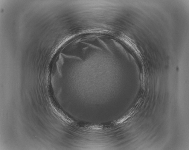 X0000087710156200705181853