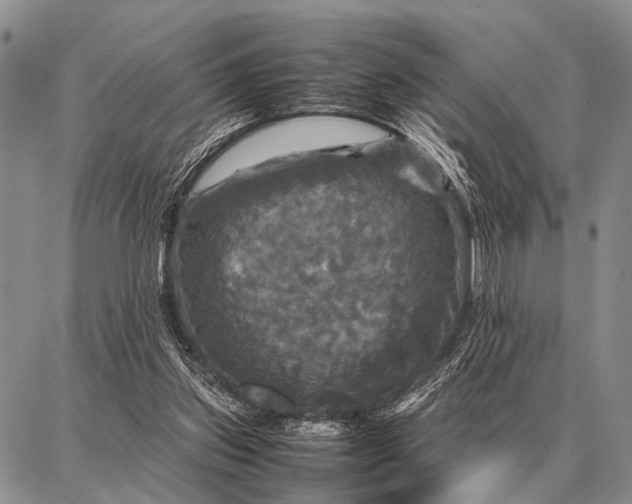 X0000087710157200705181853