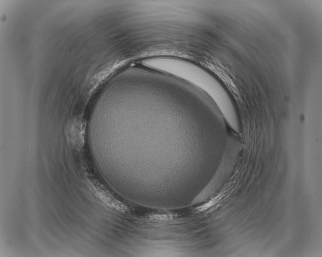 X0000087710160200705181853