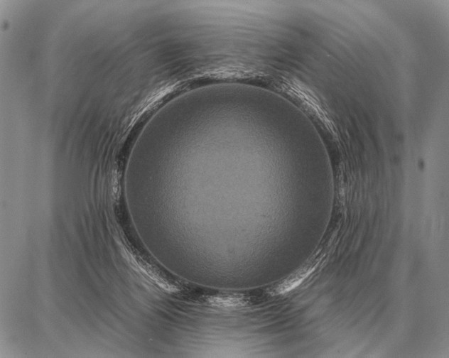 X0000087710164200705181853