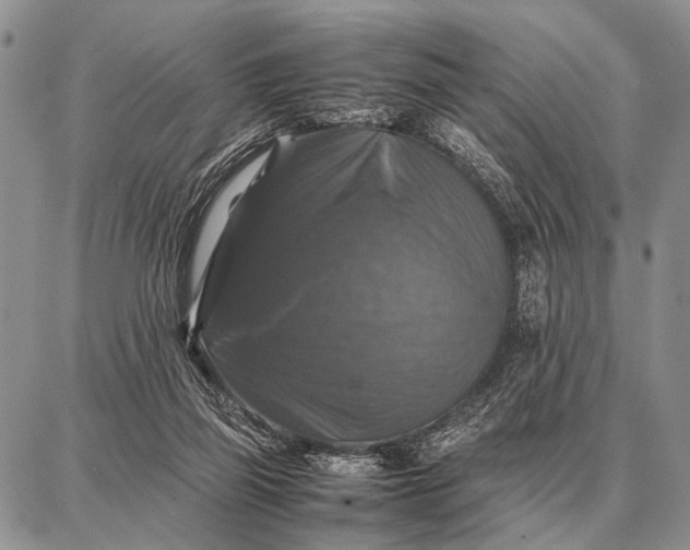 X0000087710165200705181853