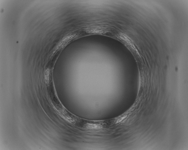 X0000087710167200705181853