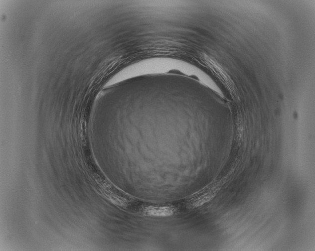 X0000087710169200705181853