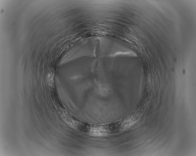X0000087710177200705181854