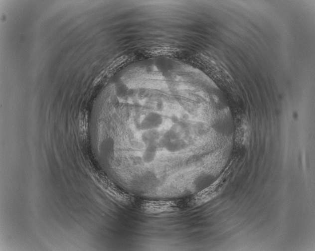 X0000087710179200705181854