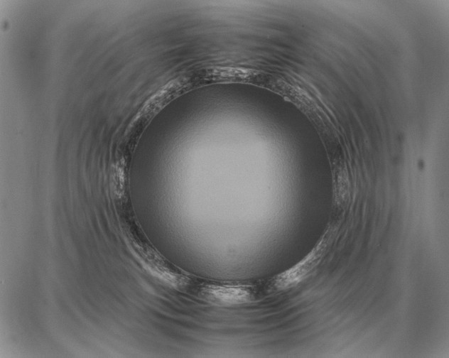 X0000087710183200705181854
