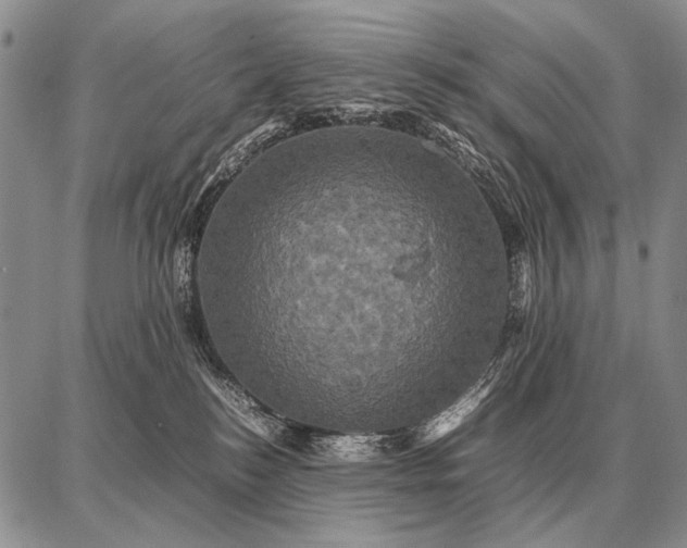 X0000087710184200705181854