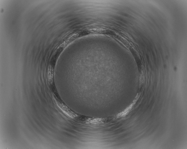 X0000087710186200705181854