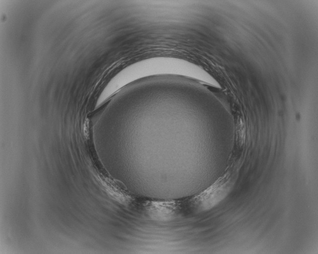 X0000087710188200705181854