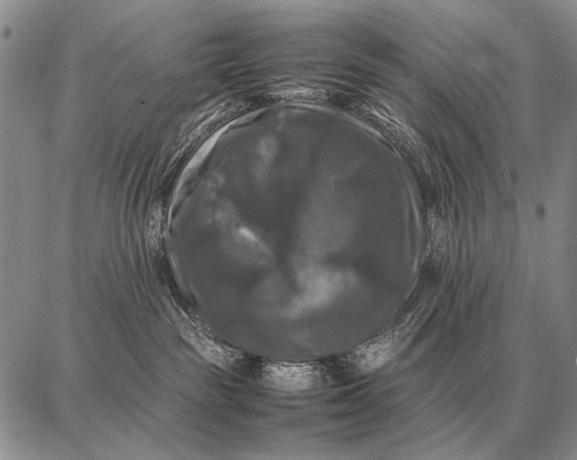 X0000087710189200705181854