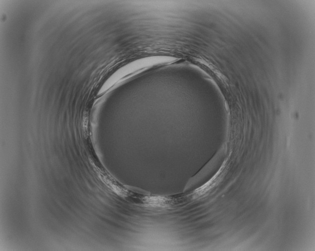X0000087710192200705181854
