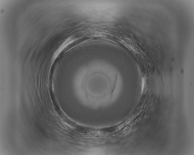 X0000087710195200705181853