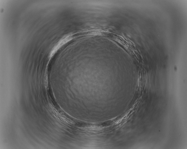 X0000087710198200705181853