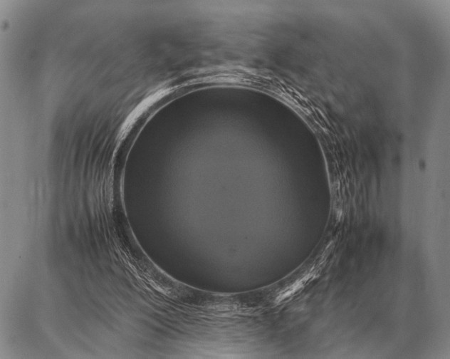 X0000087710200200705181853
