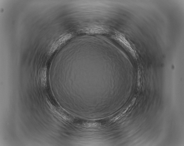 X0000087710202200705181853