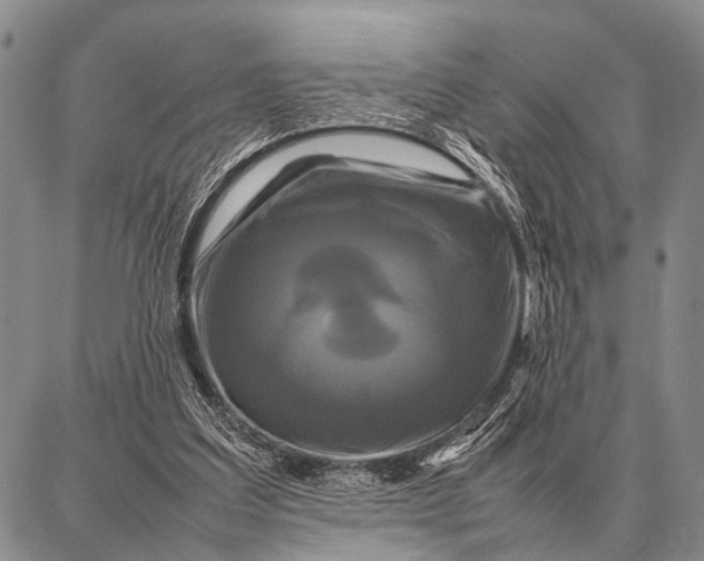X0000087710203200705181853