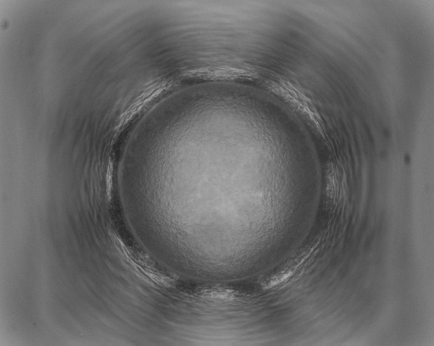 X0000087710206200705181853